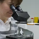 Female researcher looking through a microscope